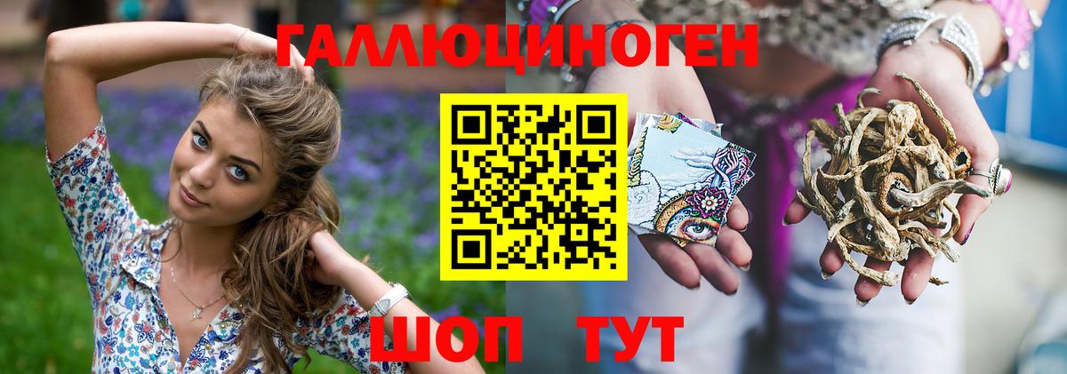 Галлюциногенные грибы Psilocybine cubensis Клинцы