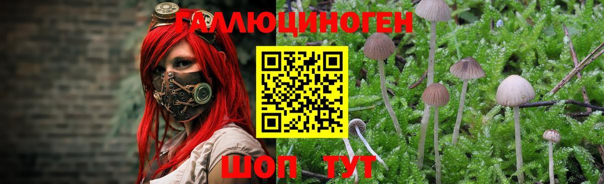 Клинцы  Галлюциногенные грибы мухоморы  Псилоцибиновые грибы Magic Shrooms  Вход с VPN 